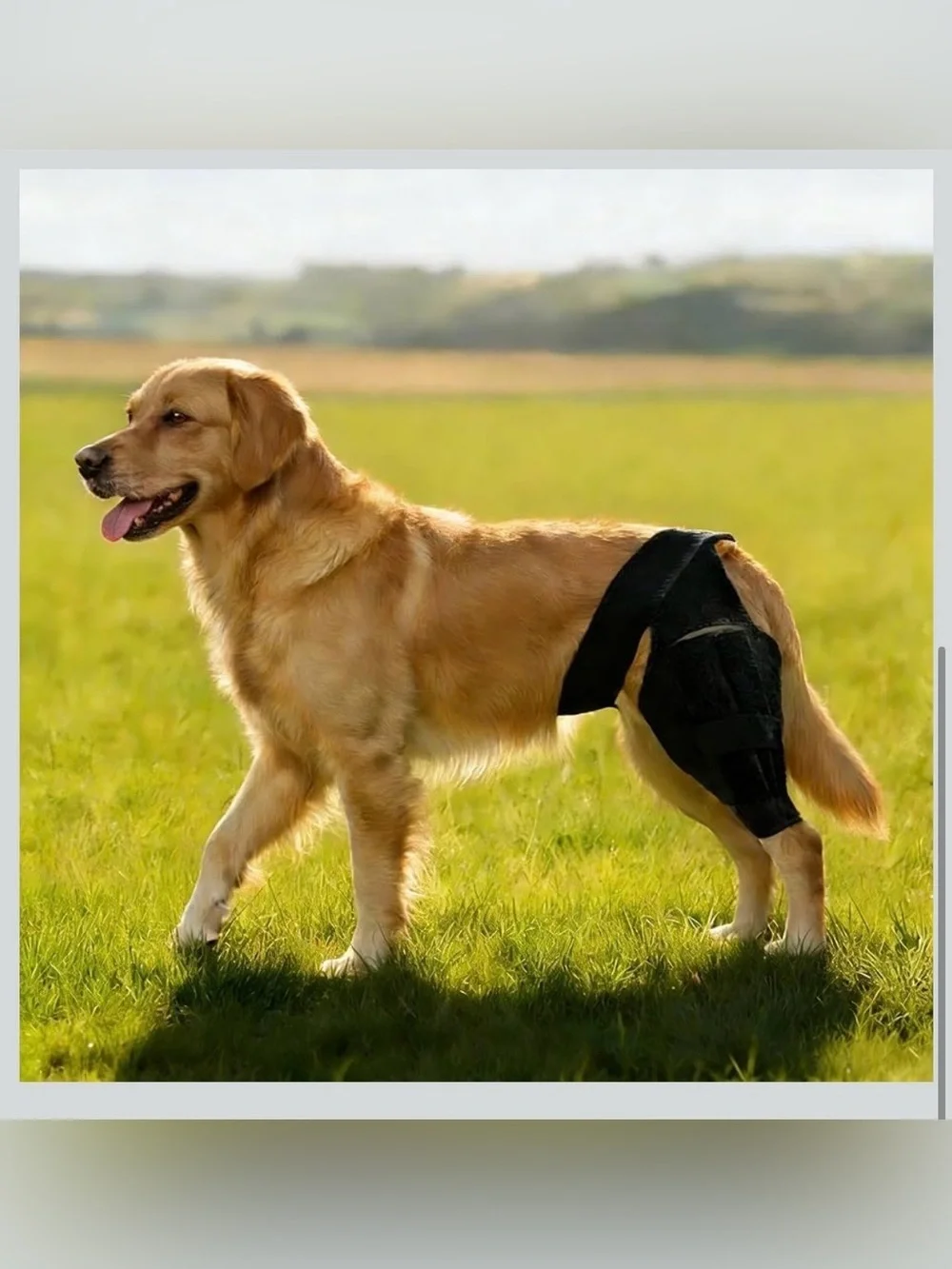 noorace comfort fit